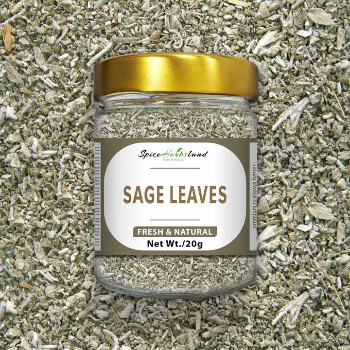 Sage_leaves_SH26