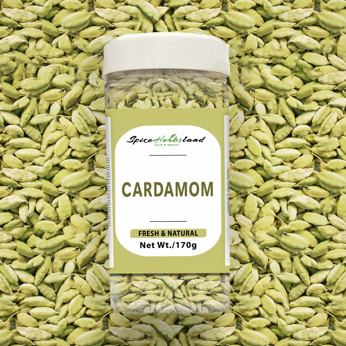 Cardamom