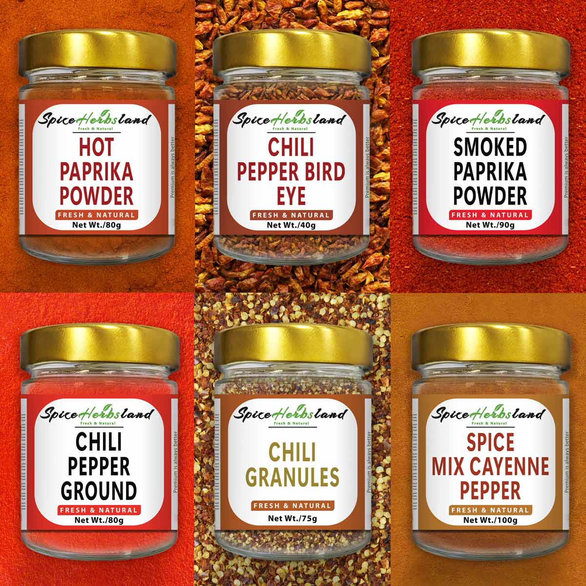 Chili collection - Pack of 6