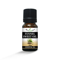 Fennel_Sweet_Oil_E02