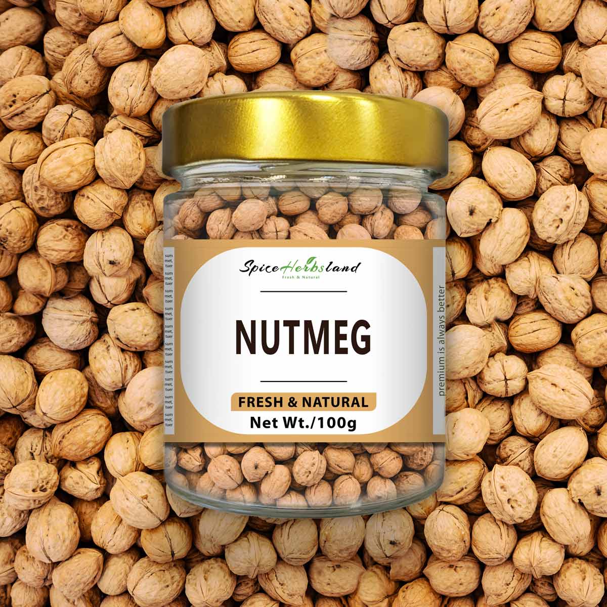 Nutmeg